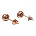 Ασημενια Σκουλαρικια Prince Silvero επιπλατινωμενο rose gold με διαφορες πετρες 8A-SC195-2O