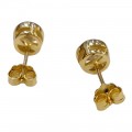 Σκουλαρίκια PRINCE SILVERO Μονόπετρα Σε Ασήμι 925 Με Χρύσωμα Κ18 και Λευκές Πέτρες Ζιργκόν 9A-SC035-3